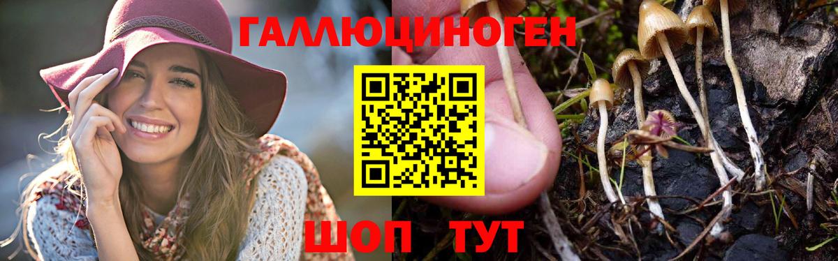 Галлюциногенные грибы прущие грибы  Псилоцибиновые грибы мухоморы  Владимир  цена наркотик  Вход с VPN 